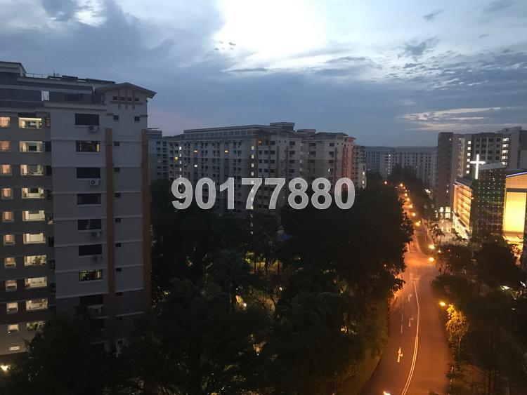 Blk 726 Woodlands Circle (Woodlands), HDB 5 Rooms #134567962